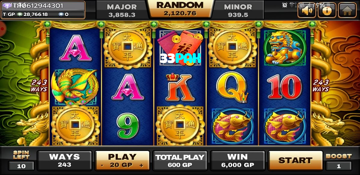 33PAK
